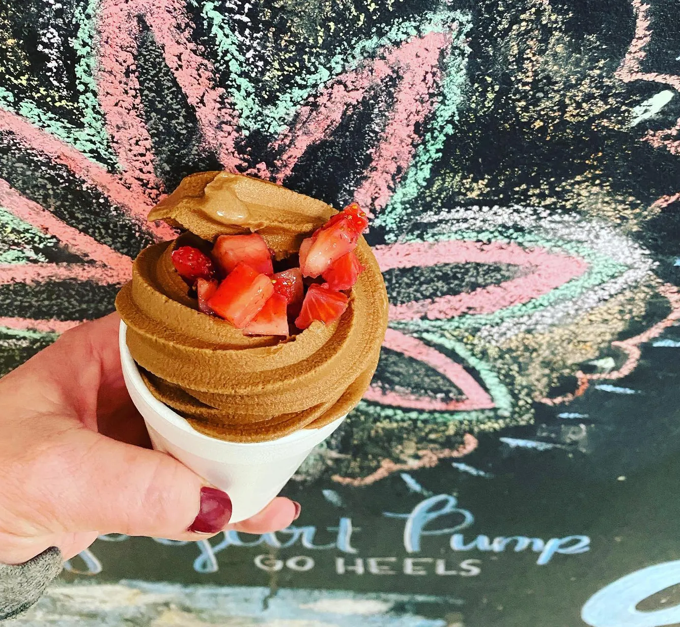 European Chocolate YoPo Flavor