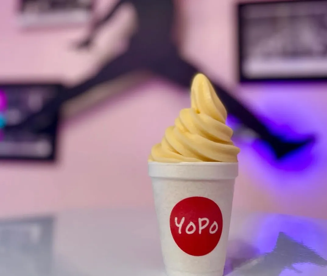 Hawaiian Pineapple Tart YoPo Flavor
